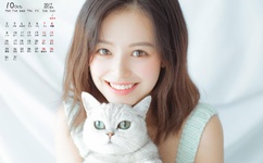 做暧小视频xo免费